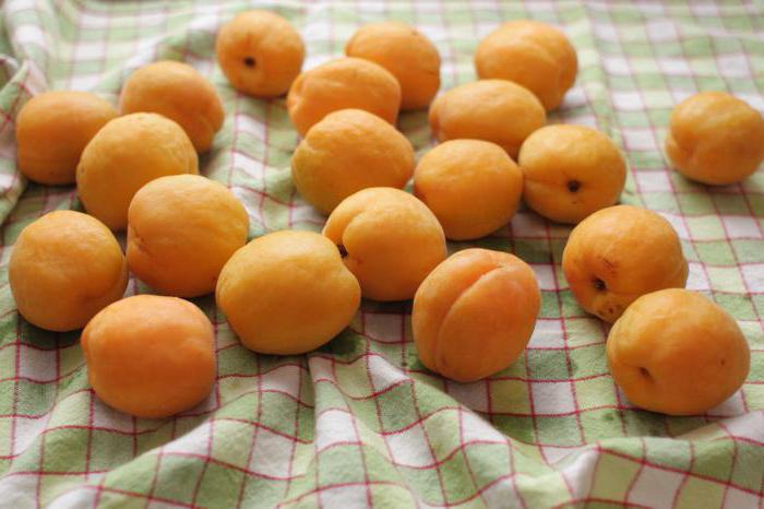 как можно заморозить абрикосы