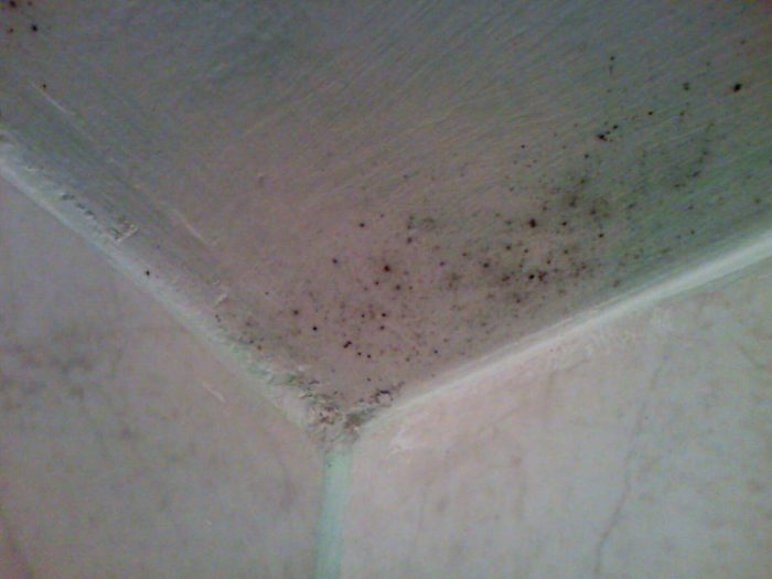 плесень в ванной на потолке