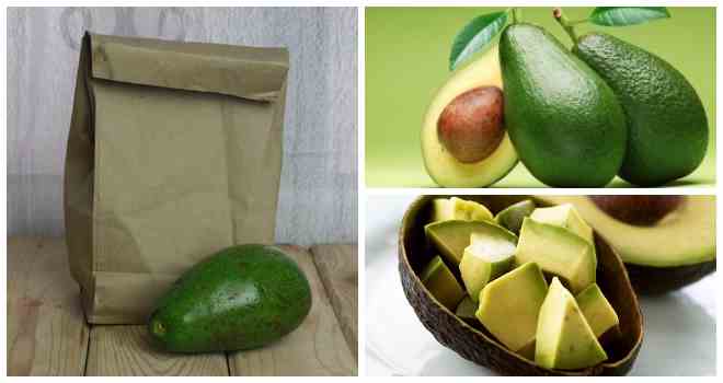 Как хранить авокадо в домашних условиях