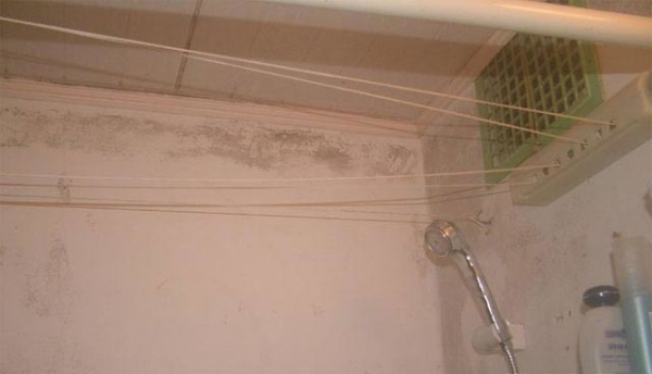 Плесень на потолке ванной комнаты: как избавиться от нее раз и навсегда?