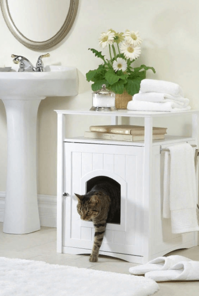 Приучить кота к туалетному лотку - задача выполнимая
