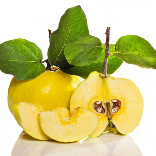 Айва: полезные свойства и противопоказания для здоровья, химический состав плодов и семян, способы приготовления
