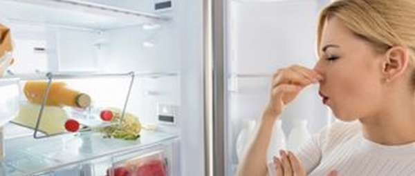 Ставить холодильник рядом с аккумулятором или нет: возможные последствия