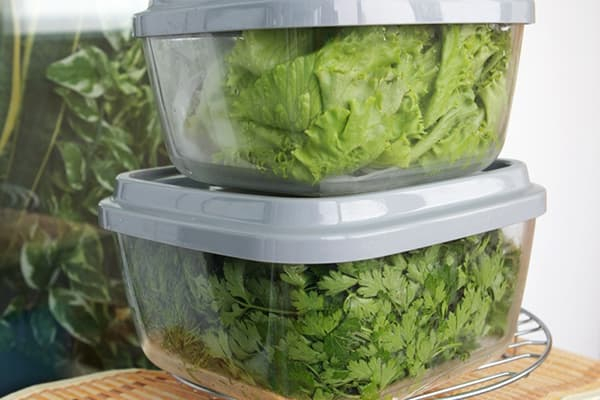 Как долго хранить свежую ароматную зелень в холодильнике: 8 простых способов