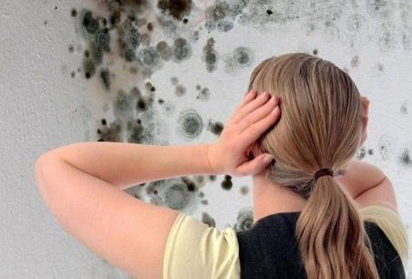 Как избавиться от плесени на стенах с помощью медного купороса