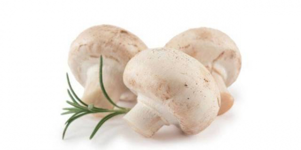 Как замачивать грибы для супа и перед жаркой: правильное обращение с сушеными и свежими грибами разных видов