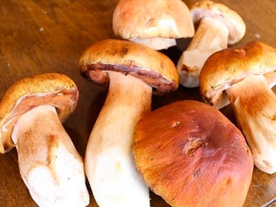 Как замачивать грибы для супа и перед жаркой: правильное обращение с сушеными и свежими грибами разных видов