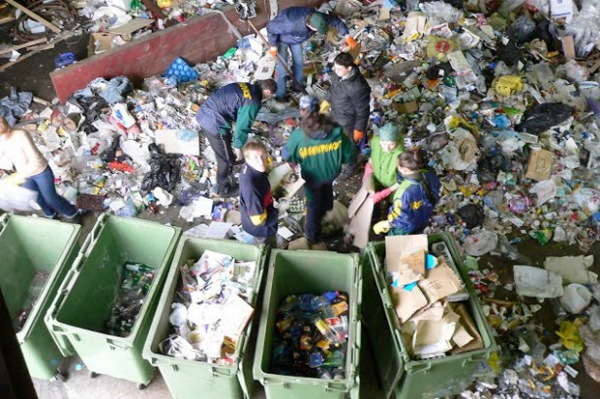 Как правильно разделить отходы и где их брать?