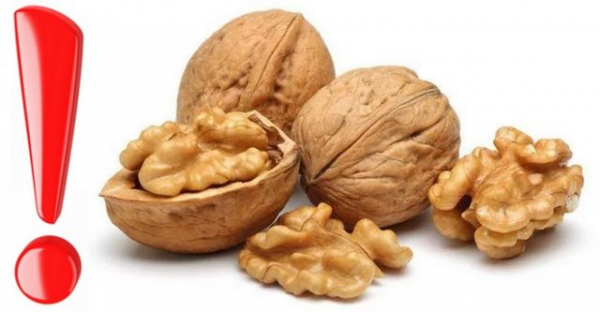 Грецкий орех - польза и вред для мужчин и женщин, противопоказания, сколько орехов можно съесть в день