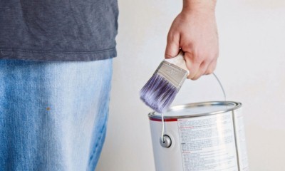 Как избавиться от запаха краски в квартире после покраски - 10 способов