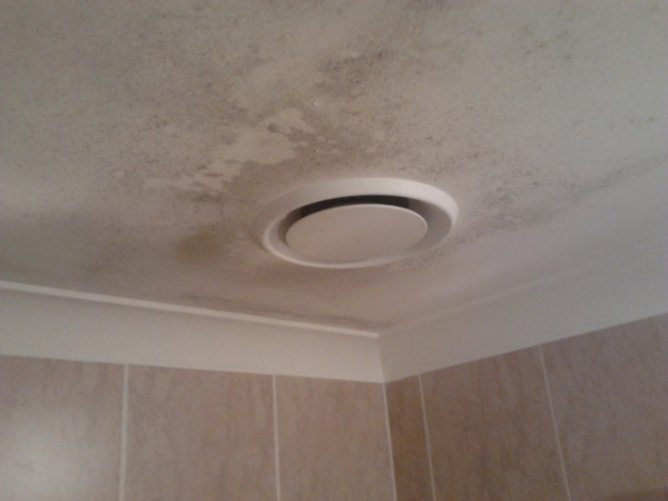 Плесень на потолке ванной комнаты: как избавиться от нее раз и навсегда?