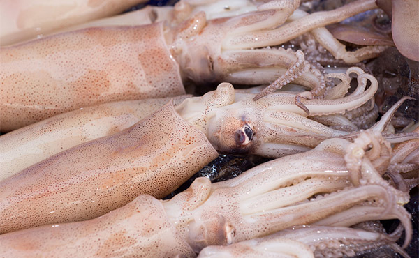Сколько и как приготовить салат из кальмаров, чтобы они были мягкими