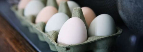 Как быстро охладить сваренные вкрутую яйца и облегчить их очистку