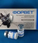 Применение препарата Фоспренил у кошек