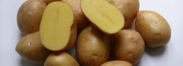 Сонни - ошеломляющий картофель