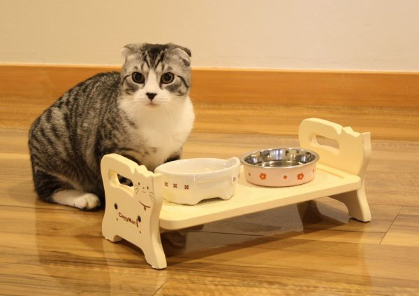 Что нужно знать о миске для кошек