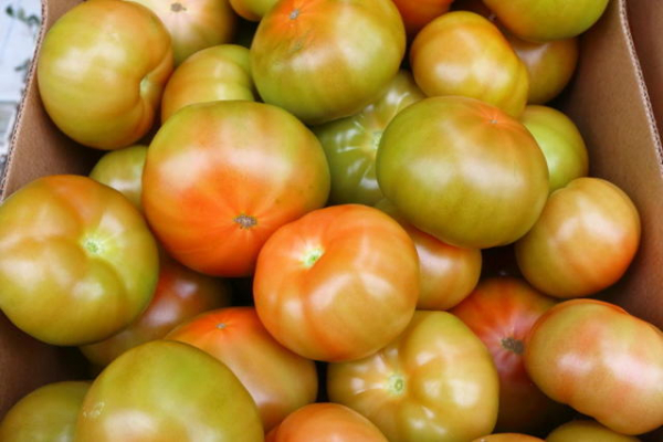 Как хранить помидоры дома?