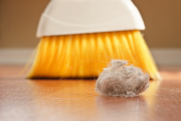Вредна ли уборка квартиры или дома для здоровья? результаты исследований, факты