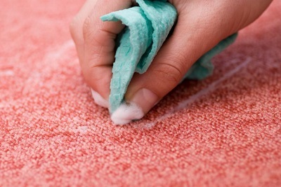 Средство для стирки ковров: какое выбрать или лучше сделать самому