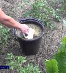 Простые советы о том, как использовать удобрение из картофельной кожуры в вашем саду и многое другое