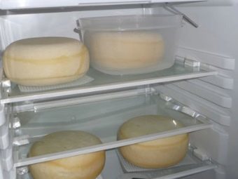 Пармиджано Реджано можно хранить в морозилке, как правильно заморозить