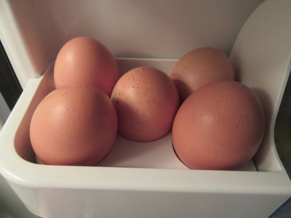 можно ли хранить вымытые яйца в холодильнике: научно объяснено