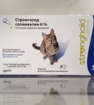 Триодоктоз у кошек: лечение и профилактика