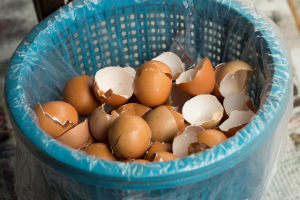 Почему нельзя выбрасывать яичную скорлупу и как ее использовать