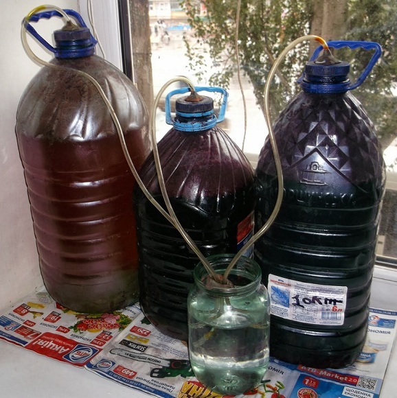 можно ли хранить воду в пластиковых бутылках и банках: виды пластика, свойства материала