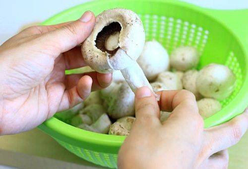 Как и чем чистить грибы: нюансы обработки
