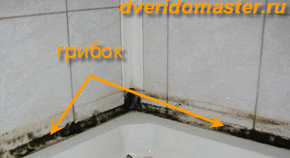 Плесень на стенах в квартире: как избавиться от вредоносных грибков в домашних условиях?