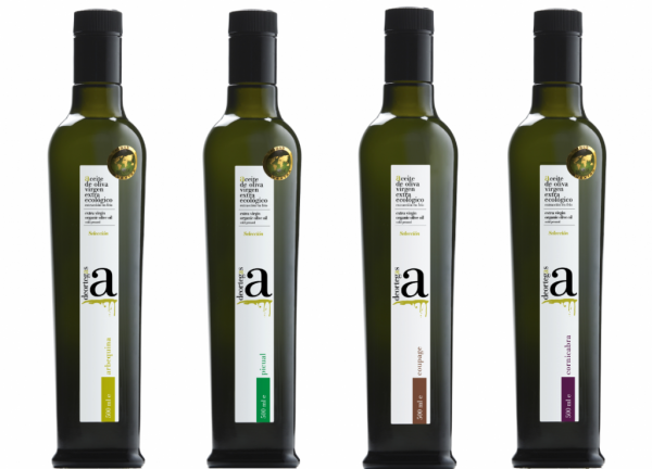 Куда смотреть, чтобы не потерять деньги: лучшие марки оливкового масла