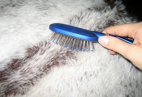 Как почистить меховой воротник в домашних условиях: лучшие способы ухода за отделкой из натурального и искусственного меха