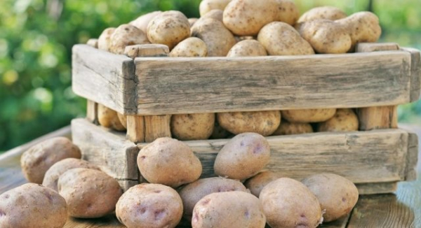 можно ли хранить картошку в воде, как это влияет на продукт