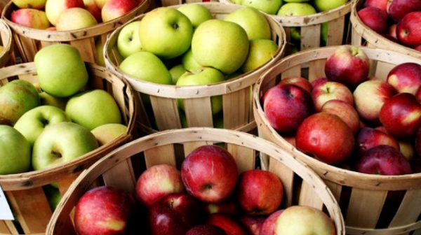 Как хранить яблоки на зиму: правильная подготовка в домашних условиях