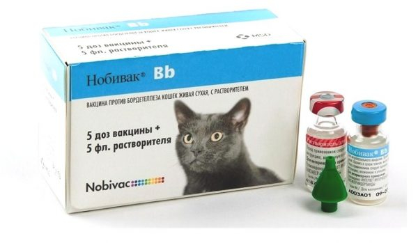 Нобивак для кошек - правила применения вакцин
