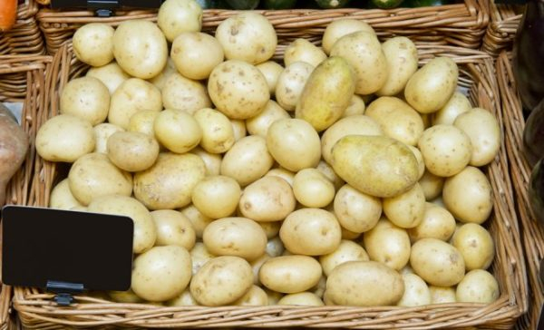 Выращивание картофеля из семян в помещении