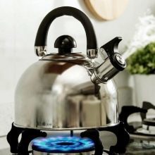 Газовый чайник: плюсы и минусы разных моделей