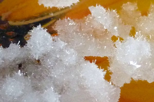 Выращиваем кристалл из соды своими руками