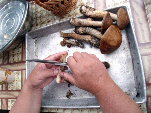Как правильно чистить и мыть грибы