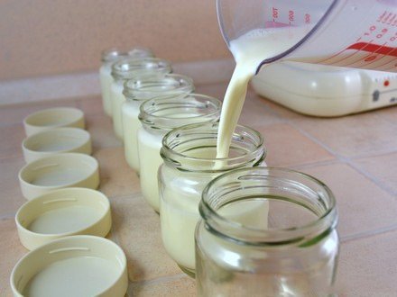 Как приготовить чудесный йогурт и его разновидности в домашних условиях