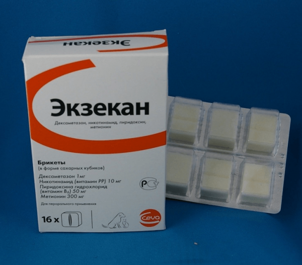 Эксекан - препарат для лечения кожных заболеваний кошек