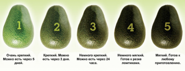 Выбирайте спелые фрукты, полезные для здоровья: авокадо, манго, ананас