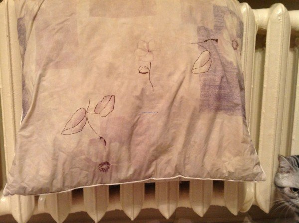 На заметку хозяйке: как правильно стирать перьевую подушку