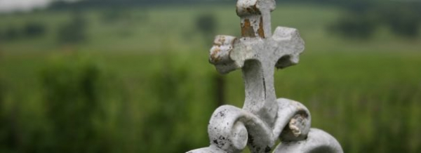 Уход за кладбищенским участком: как избавиться от сорняков