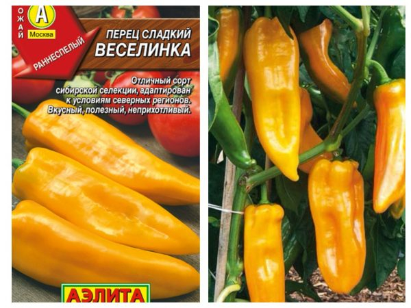 Какие сорта перца подходят для выращивания в Сибири
