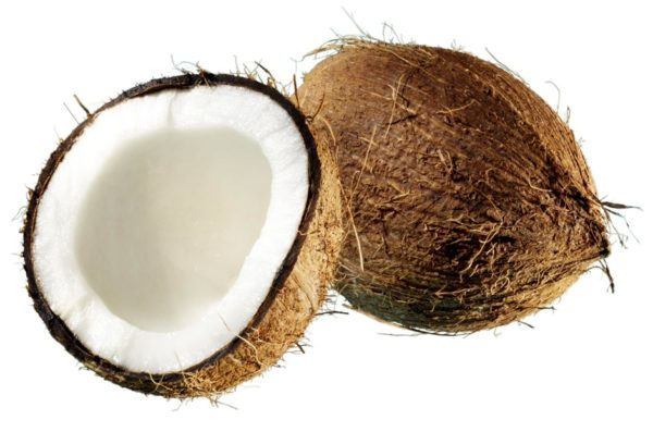 Что делать, если в доме появится кокос?