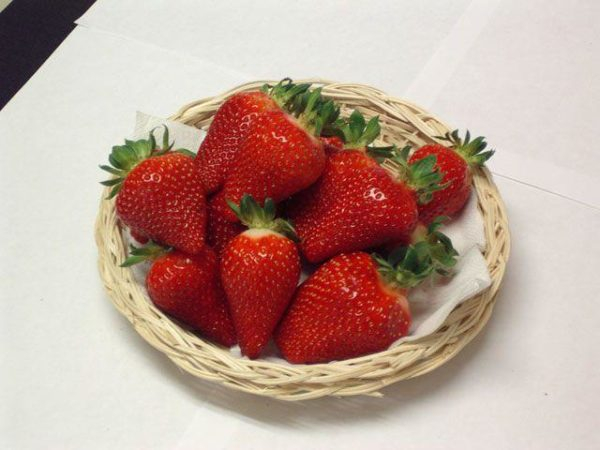 Strawberry Asia: итальянский гость в России