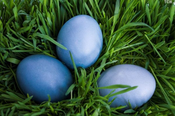 Красный, синий, мраморный: на Пасху яйца красим без промышленных красителей