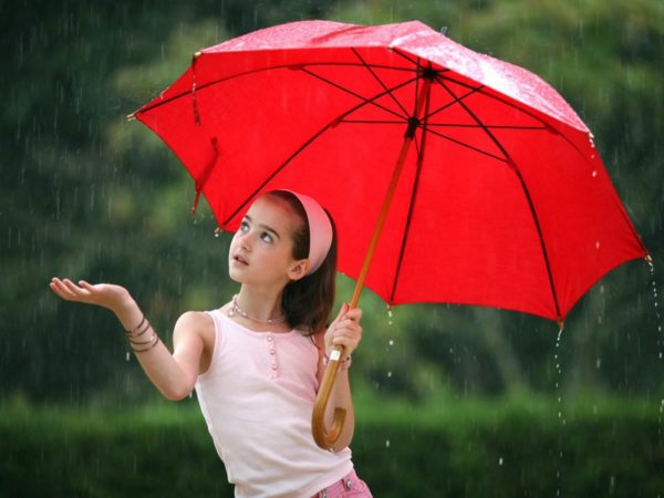 Как почистить зонт в домашних условиях